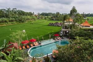 Hồ bơi trong/gần Om Ham Retreat and Resort