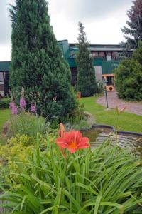 Gallery image of Landhotel Harz in Thale