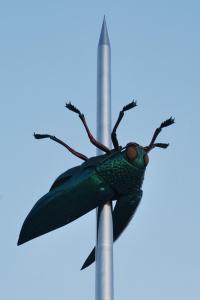 a bug sitting on top of a pole at Nena Guesthouse in Leuven