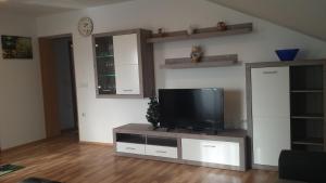 un soggiorno con TV a schermo piatto su un centro di intrattenimento di Apartma Rodica a Domžale