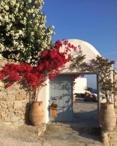 Un jardín fuera de Beachfront Mykonos Guest House