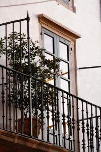 a plant on a balcony with a window at Hotel Altaïr in Santiago de Compostela