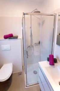 ein Bad mit einer Dusche und einem WC in der Unterkunft Holiday home M1 & M2 in Pula