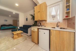 Una cocina o kitchenette en Apartments Suster