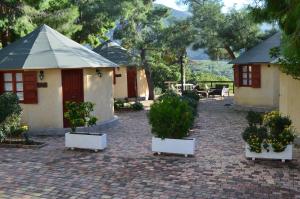 A garden outside Chrissa Camping Rooms & Bungalows