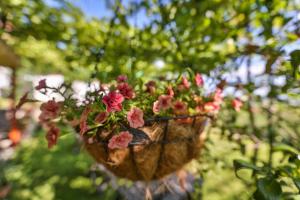 A garden outside Guest House Villa Teres