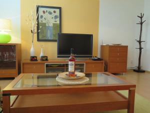 TV in/ali zabaviščno središče v nastanitvi Apartmán Penzák