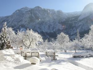 un parc enneigé avec une montagne en arrière-plan dans l'établissement Dormio Gasthof Höllwirt, à Obertraun