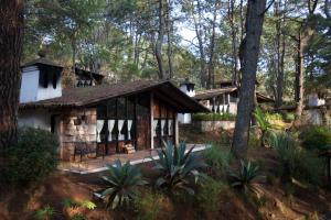 a house in the woods with a porch at Monteverde in Mazamitla