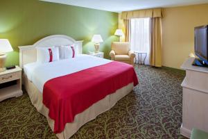 Holiday Inn Chantilly-Dulles Expo Airport, an IHG Hotel في شانتيلي: غرفه فندقيه سرير كبير وتلفزيون