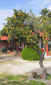 Foto de la galería de Monte da Xica - Somente Adultos en Zambujeira do Mar