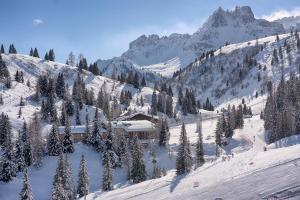 un lodge de esquí en una montaña nevada con árboles en Hotel Garni Elisir, en Arabba