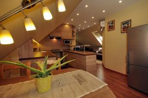 a large kitchen with a vaulted ceiling and a table with a plant at Mátyás Apartmanház in Gyula