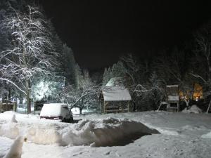 Arnika Tatariv durante el invierno