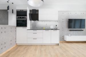 A kitchen or kitchenette at Venezia Apartment