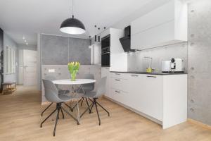 A kitchen or kitchenette at Venezia Apartment