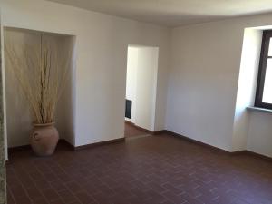 an empty room with a plant in a vase at Residence Redicervinia in Breuil-Cervinia