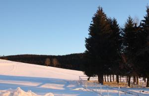 Landhotel Bartlehof през зимата