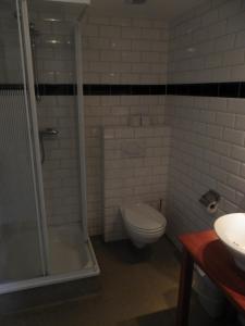 een badkamer met een toilet, een douche en een wastafel bij De Gouden Karper in Rustenburg