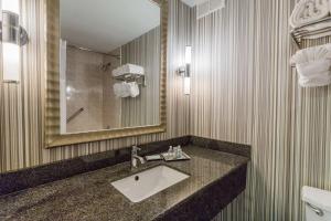 Wyndham Garden Norfolk Downtown tesisinde bir banyo