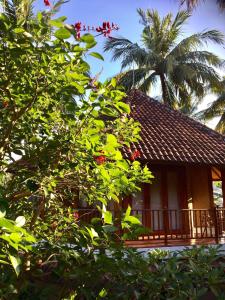 a house with a palm tree in front of it at Villa Jati Mangsit in Senggigi 