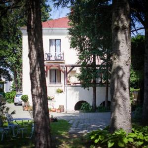 Zahrada ubytování Villa Cecile