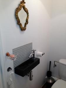 bagno con lavandino e specchio a parete di Les Gîtes Du Pays De Charleroi a Charleroi