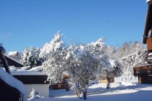 Landhotel Garni Schweizerhaus iarna