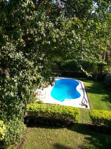 - une vue sur la piscine dans la cour dans l'établissement RIO y VERDE, à Córdoba