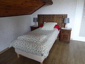 - une chambre avec un lit et 2 tables de nuit avec des lampes dans l'établissement Chez Sylvie, à Sainte-Foy-lès-Lyon