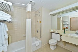 Bathroom sa Holiday Inn Wilkes Barre - East Mountain, an IHG Hotel