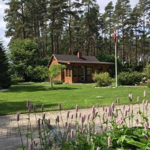 Taman di luar Forest house with outdoor hot tub