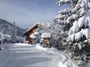 Hôtel Chalet Alpage ziemā