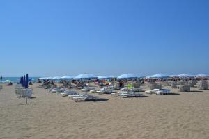 un grupo de sillas y sombrillas en una playa en Agriturismo Dolceacqua, en Cavallino-Treporti