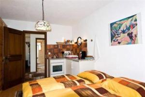 a bedroom with a bed and a kitchen at Studio in Chasa Quirin in Zernez