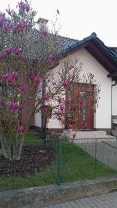 a house with pink flowers in front of a fence at Apartman Za Potokem in Luhačovice