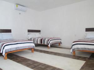 A bed or beds in a room at Hotel Pedregal