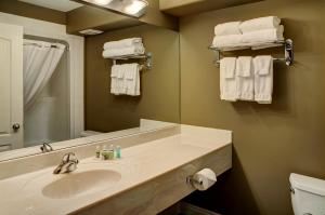 O baie la Lakeview Inns & Suites - Edson Airport West