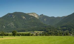 un champ vert avec des montagnes en arrière-plan dans l'établissement Gästehaus Kloibergütl, à Sankt Gilgen