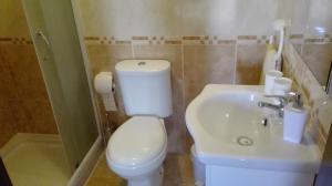 uma casa de banho com um WC branco e um lavatório. em Alojamento S. Pedro em Peniche