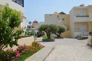 A garden outside Olive Grove Apartments