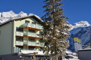 エンゲルベルクにあるHotel Hahnenblickの木山を背景にした建物