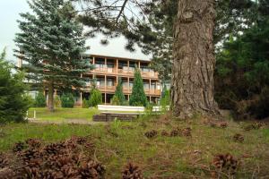 a building with a tree in front of it at Landhotel Harz in Thale