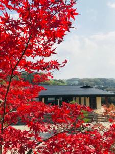 Зображення з фотогалереї помешкання NARA japanese garden villa у місті Нара