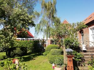 Jardí fora de Alte Pastorei