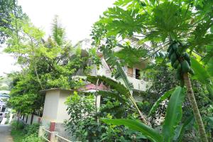 Un jardín fuera de Ferndale Homestay