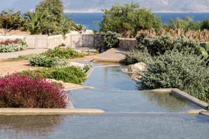 een zwembad met water in een tuin met bloemen bij Portes Houses in Koufonisia