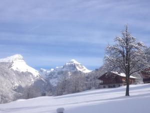 Chalet des Cascades a l'hivern