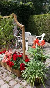 - un jardin avec 2 chaises blanches et des fleurs rouges dans l'établissement Pension Am Renner, à Dresde