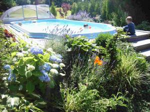 een tuin met een zwembad met mensen erin bij Gaststätte & Pension Jiedlitz in Burkau